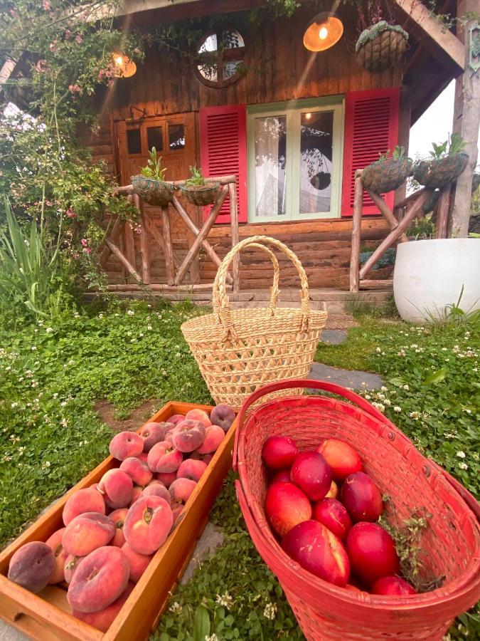Meena Bagh Ratnari- An Apple Orchard Bungalow Bagi Екстериор снимка