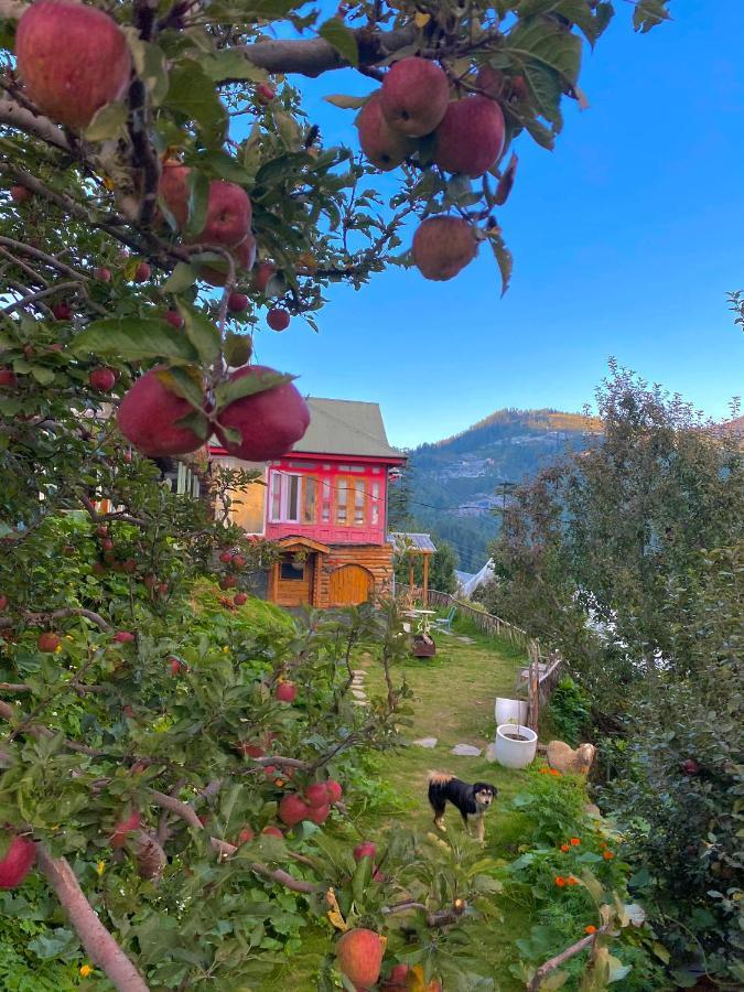 Meena Bagh Ratnari- An Apple Orchard Bungalow Bagi Екстериор снимка