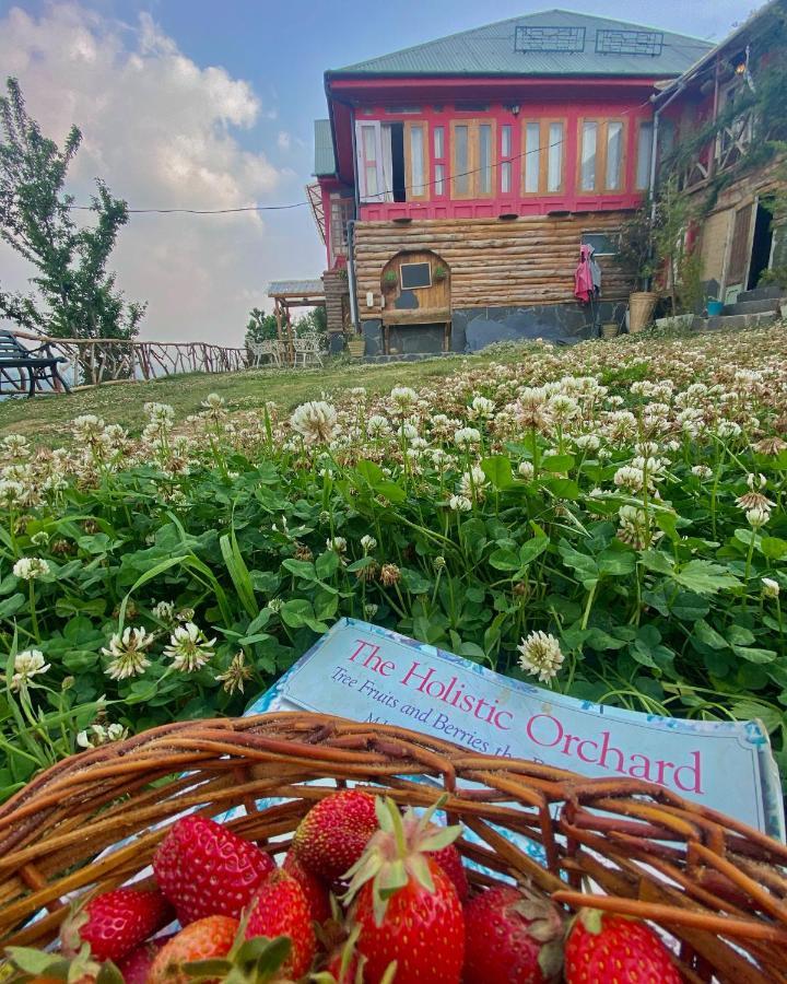 Meena Bagh Ratnari- An Apple Orchard Bungalow Bagi Екстериор снимка